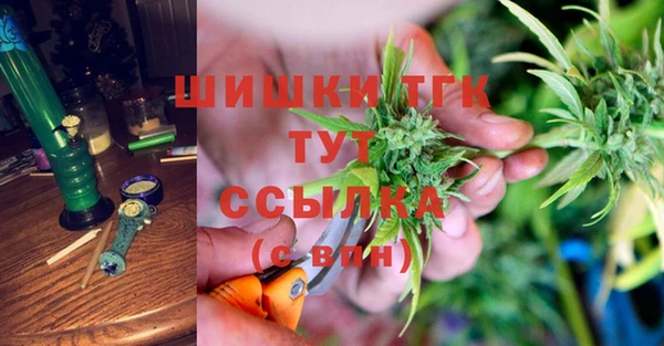 мяу мяу мука Арсеньев